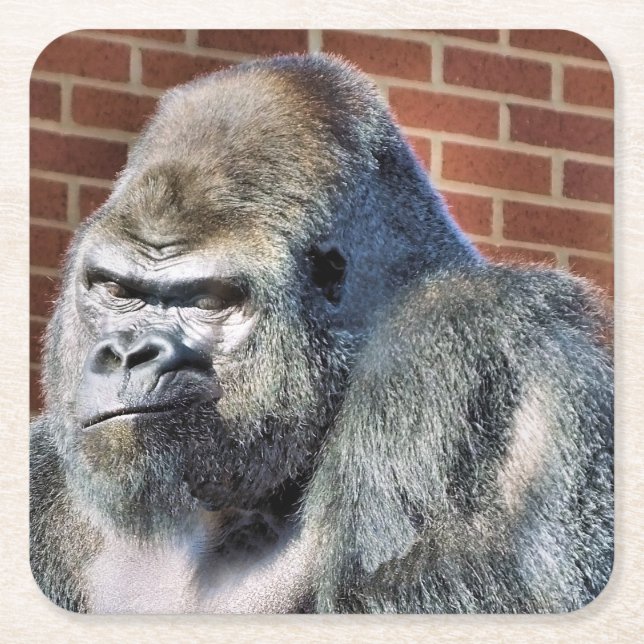 FUNNY GORILLA UNDERLÄGG PAPPER KVADRAT (Framsidan)