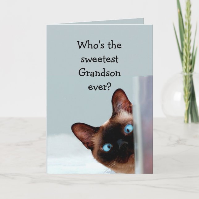 Funny Grandson Birthday Önskemål Siamese Cat Kort (Framsida)