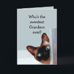 Funny Grandson Birthday Önskemål Siamese Cat Kort<br><div class="desc">Farmor Birthday Önskemål Siamese Cat Animal Humor..    Perfekt för den farsonen i ditt liv med en känsla av humor,  en kärlek katter och en födelsedag</div>