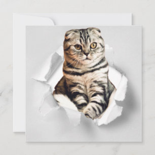 Funny Grått Cat Popping thru Torn Papper Illusion
