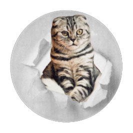 Funny Grått Cat Popping thru Torn Papper Illusion