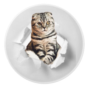 Funny Grått Cat Popping thru Torn Papper Illusion Knopp