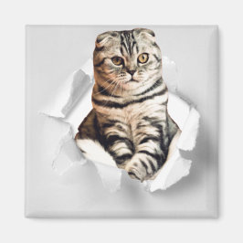 Funny Grått Cat Popping thru Torn Papper Illusion Magnet