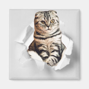 Funny Grått Cat Popping thru Torn Papper Illusion Magnet