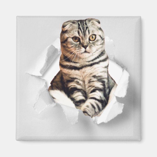 Funny Grått Cat Popping thru Torn Papper Illusion Magnet (Framsidan)
