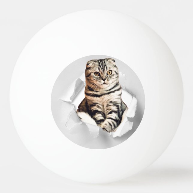 Funny Grått Cat Popping thru Torn Papper Illusion Pingisboll (Framsidan)