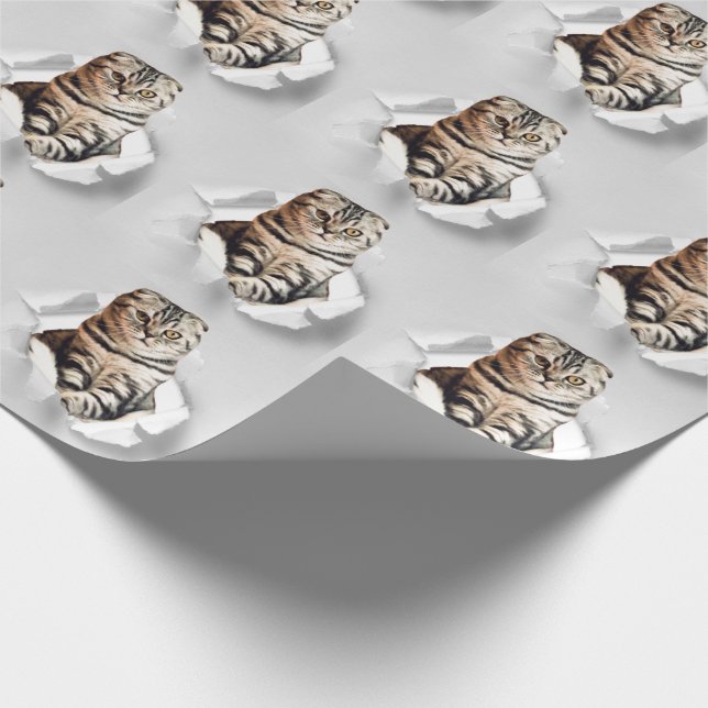 Funny Grått Cat Popping thru Torn Papper Illusion Presentpapper (Hörn)