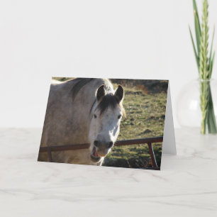 Funny Grått Mare Kort