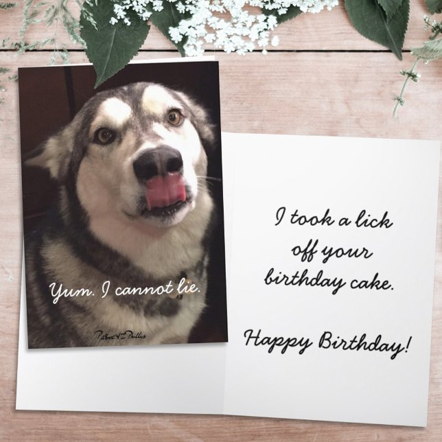 Funny Grattis på födelsedagen Alaska Malamute Hund Kort (Skapare uppladdad)
