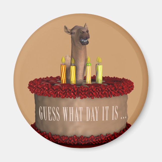Funny Grattis på födelsedagen Camel Magnet (Framsidan)