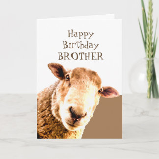 Funny Grattis på födelsedagen Ewe är BÄST BROTHER Kort