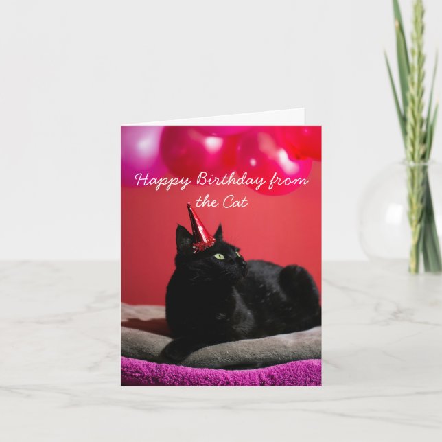 Funny Grattis på födelsedagen från Cat Helgkort (Framsida)