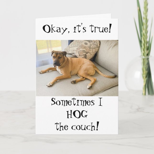 Funny Grattis på födelsedagen från Hund Kort (Framsida)