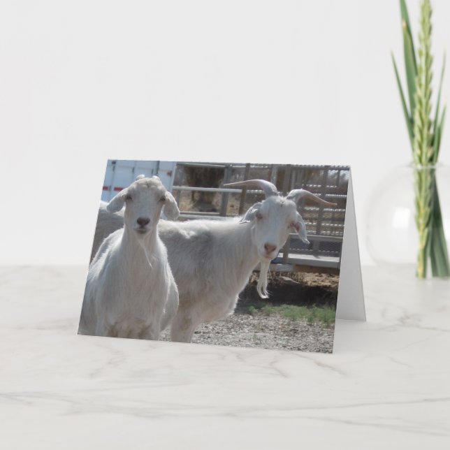 Funny Grattis på födelsedagen Goats Kort (Framsida)