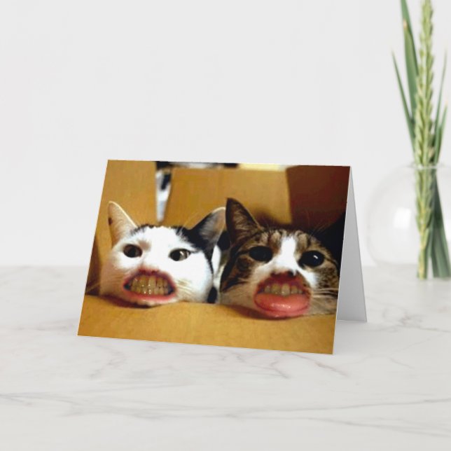 Funny Grattis på födelsedagen Kort (Framsida)