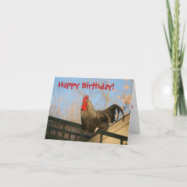 Funny Grattis på födelsedagen-kort Kort