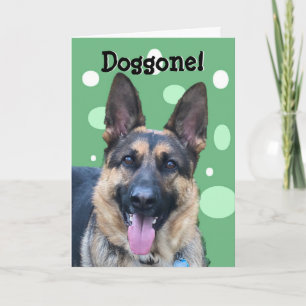 Funny Grattis på födelsedagen-kort Kort