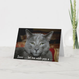 Funny Grattis på födelsedagen-kort med grått Cat Kort