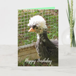 Funny Grattis på födelsedagen polsk Chicken Kort