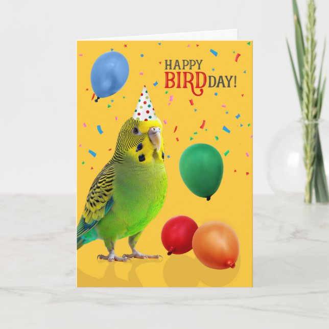 Funny Green and Yellow Budgie Parakeet Birthday Kort (Framsida)