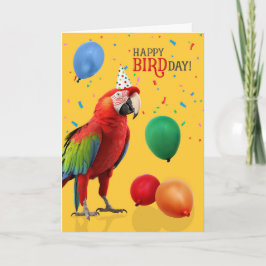 Funny Green Winged Macaw Parrot Birthday Kort