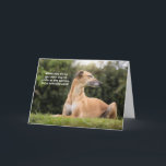 Funny Greyhound Hund Birthday Kort<br><div class="desc">Det här är en roligt-födelsedagskort med en fotografisk bild av en gyllene greyhound-hund som tittar bort från kameran med hennes ögon stängd! Texten på kortet lyder: "När du försöker få hund att le på kameran för ett födelsedagskort!" Natalie Kinnears design och fotografi</div>