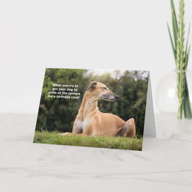 Funny Greyhound Hund Birthday Kort (Framsida)