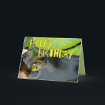 Funny Grönt Frog Hoppy Birthday Card Kort<br><div class="desc">En söt grönt-pond-grodkort som önskar en vän eller familj "Hoppy Birthday"</div>