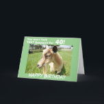 Funny Grönt Goat Humor Anpassningsbar Birthday Kort<br><div class="desc">Cute-geten i en lush grönt-pastor ser ut från kortet på dig och skickar hennes lustiga födelsedag humor: "Du ser inte den där baaaa'd för "Ditt födelsedag"! Insidan av kortet säger: "Just Kidding... . - Du ser fantastisk ut och jag hoppas att du har den bästa födelsedagen någonsin!" eller anpassa dig...</div>