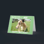 Funny Grönt Goat Humor Anpassningsbar Birthday Kort<br><div class="desc">Cute-geten i en lush grönt-pastor ser ut från kortet på dig och skickar hennes lustiga födelsedag humor: "Du ser inte den där baaaa'd för "Ditt födelsedag"! Insidan av kortet säger: "Just Kidding... . - Du ser fantastisk ut och jag hoppas att du har den bästa födelsedagen någonsin!" eller anpassa dig...</div>