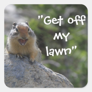 Funny Ground Squirrel Fyrkantigt Klistermärke