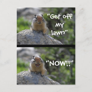 Funny Ground Squirrel Vykort