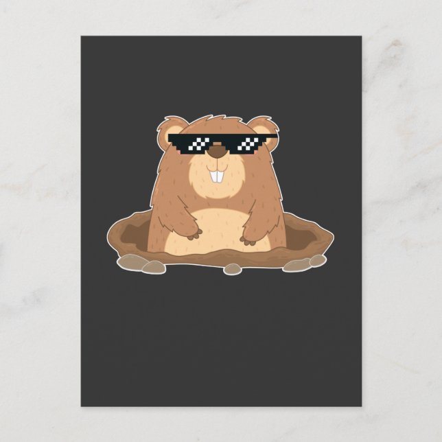 Funny Groundhog med Sunglasses Humor Vykort (Framsida)