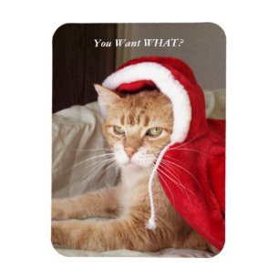 Funny Grumpy Cat jul Magnet Humous