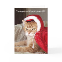 Funny Grumpy Ginger Cat-julkort Humor