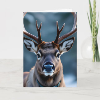 Funny Grumpy Reindeer Customizable Photo Christmas Kort