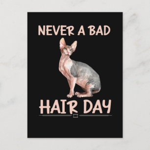 Funny Hairless Cat Sphynx Hair Humor Vykort