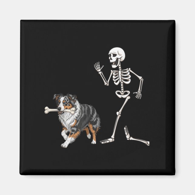 Funny Halloween Australian shepherd och Skeleton Magnet (Framsidan)