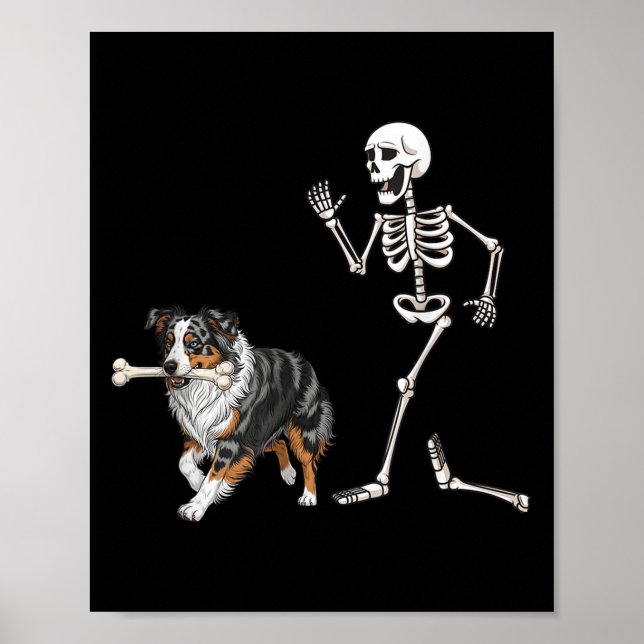 Funny Halloween Australian shepherd och Skeleton Poster (Framsidan)