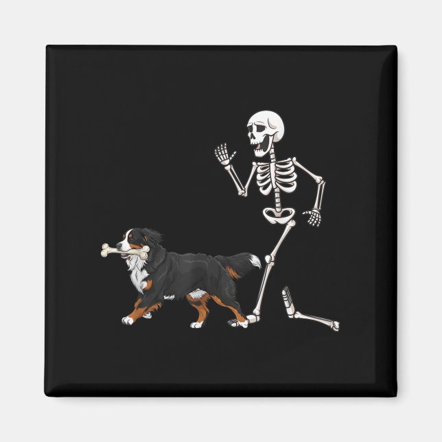 Funny Halloween Bernese Mountain Hund och Skeleton Magnet (Framsidan)