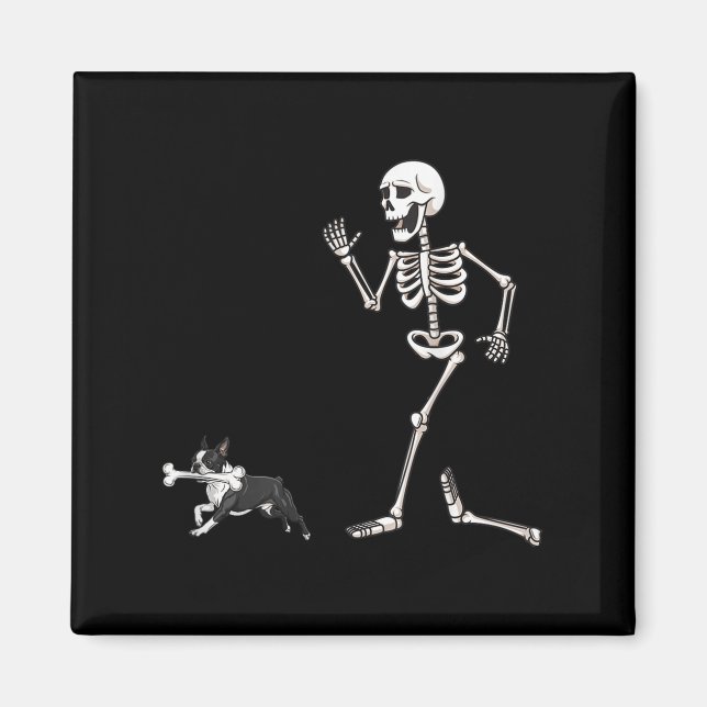 Funny Halloween Boston Terrier och Skeleton Magnet (Framsidan)