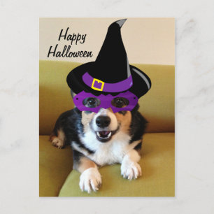Funny Halloween Corgi i Costume Vykort