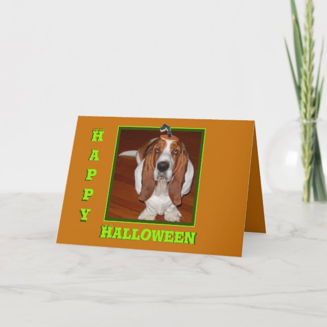 Funny Halloween-kort med basset i Pumpkin Hat Kort (Framsida)