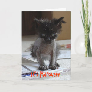 Funny Halloween Zombie Kattunge Card Kort