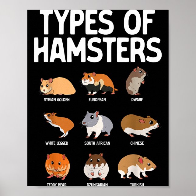 Funny Hamster Art For Men Women Boys Girls Hamster Poster (Framsidan)