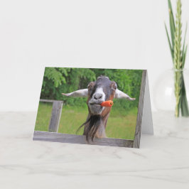 Funny Handsome Goat Fars dag Helgkort