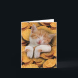 Funny Hanukkah Greeting Card - Katt i Gelt Kort<br><div class="desc">Om denna punkt * INSIDE HÄLSNING: "Hoppas att Hanukah är purfekt!" TÄCK - [bild av katt med Hanukkah gelt] * KORT STORLEKT - Ta emot 1, vanlig skärmbild med 5 x 7 tum kuvert. Vi erbjuder roliga kort som komen antingen är tom eller hälsad inuti, så se till att granska...</div>