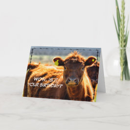 Funny Happy Birthday Country Farm Mail Farm Tales  Kort