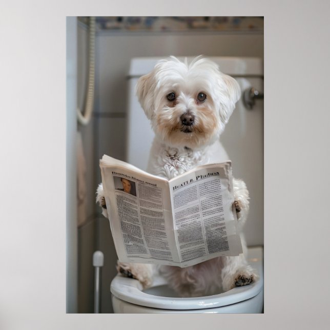 Funny Havanese Dog Print, Bathroom Newspaper Art Poster (Framsidan)