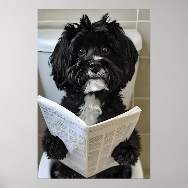 Funny Havanese Dog Print, Newspaper Bathroom Poster (Framsidan)